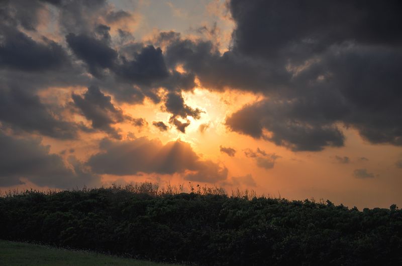 DSC_1303副本.jpg