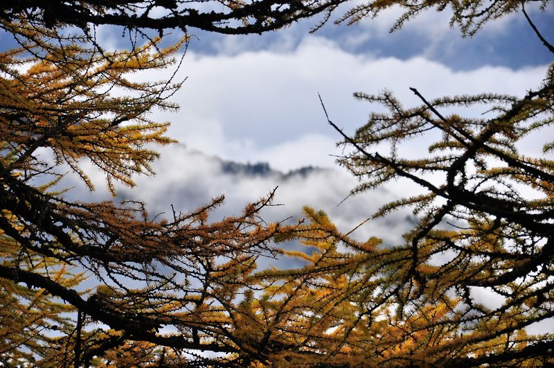 DSC_0648.jpg