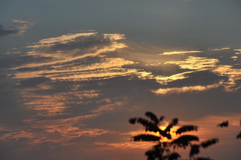 DSC_4601.JPG