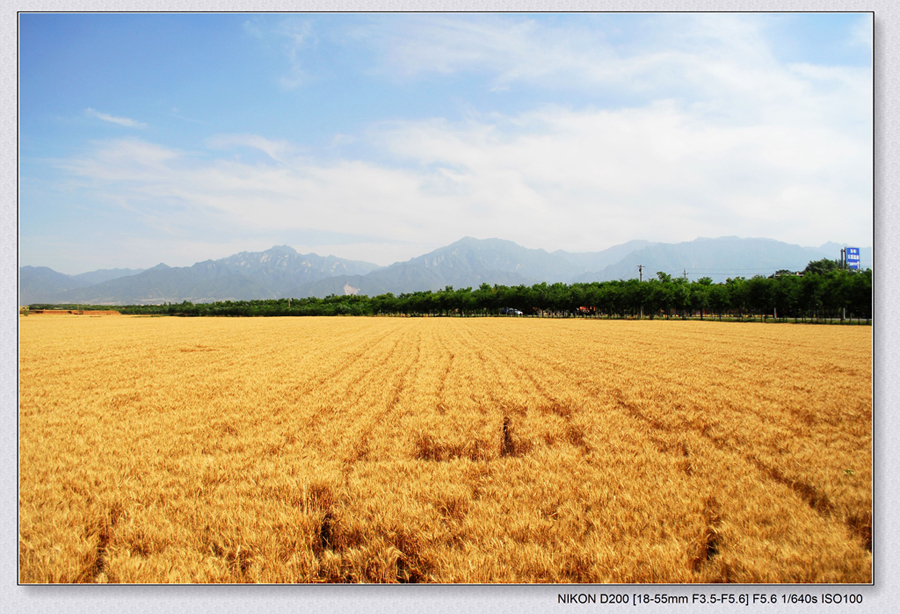 DSC_5303-论坛.jpg