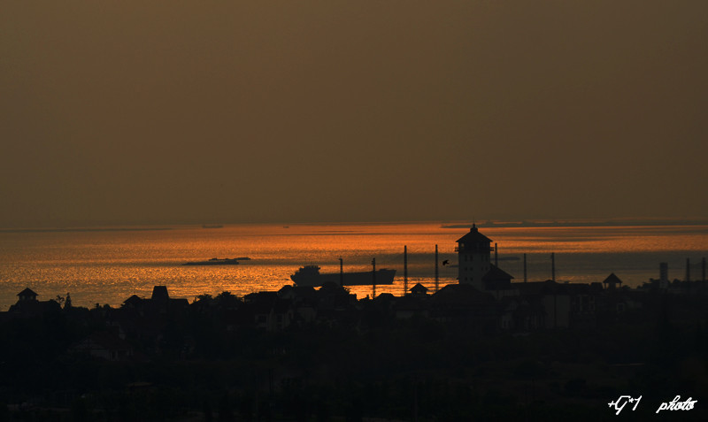 DSC_0800.jpg