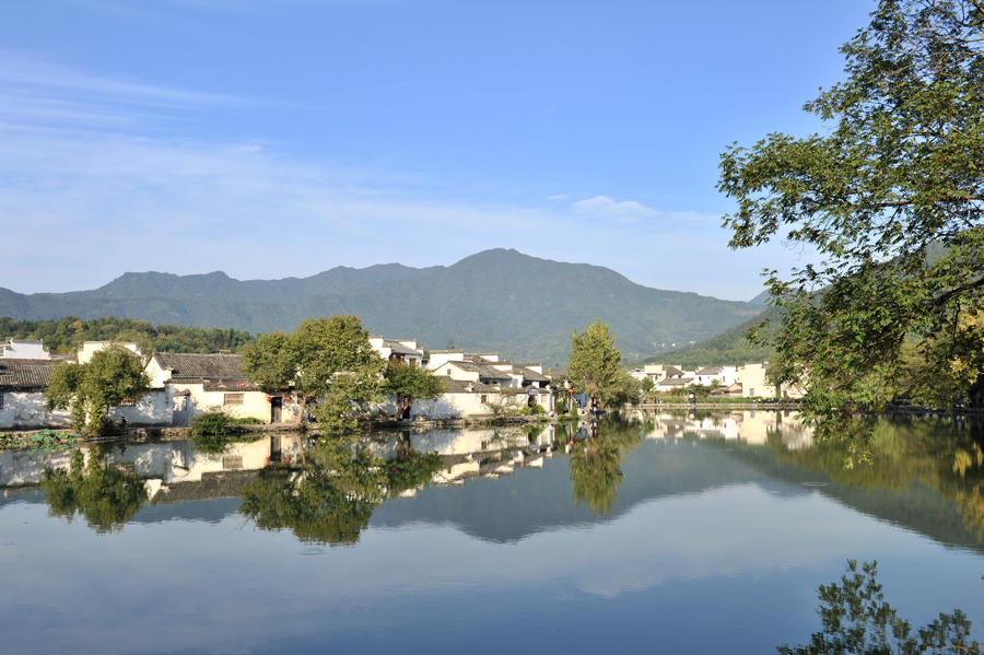 cDSC_2043.jpg