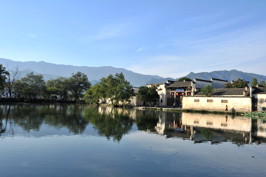 cDSC_2045.jpg