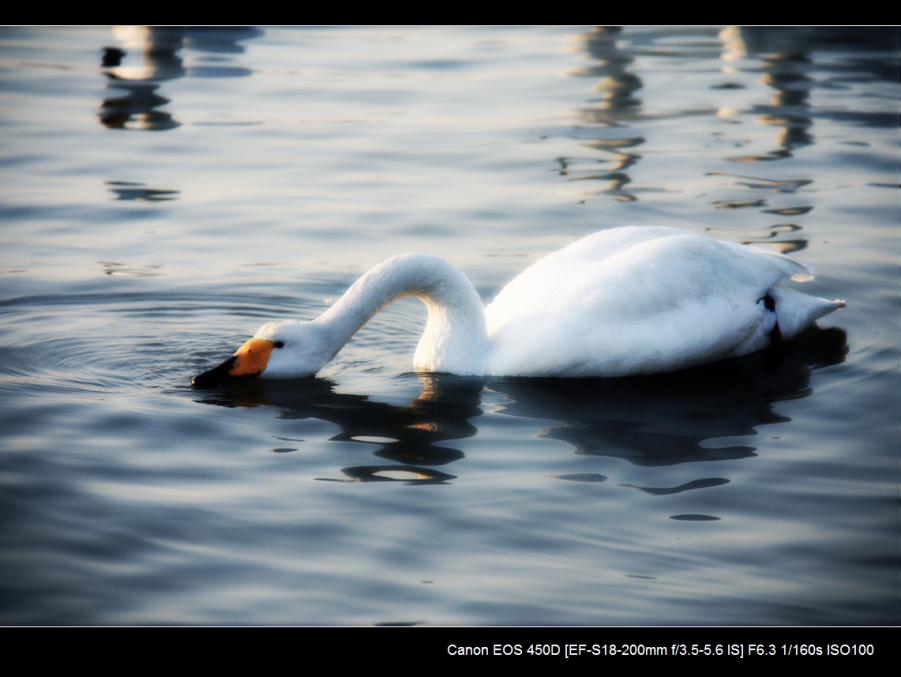 IMG_2990a.jpg
