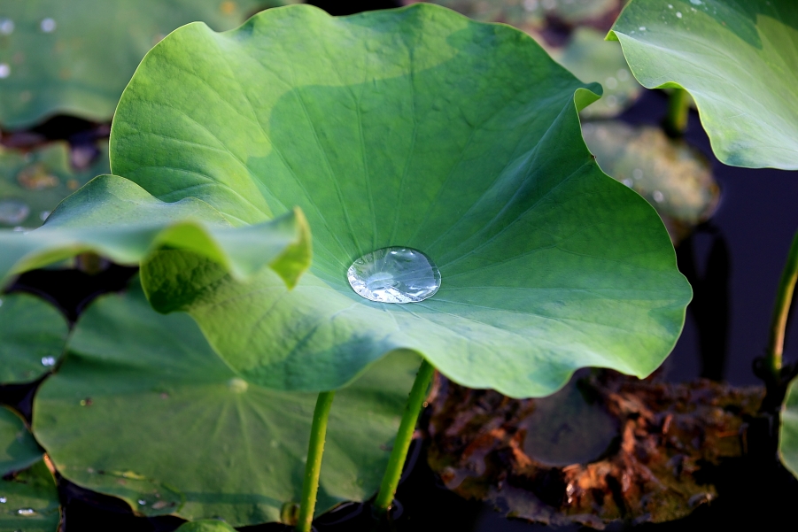 small_IMG_5881.JPG