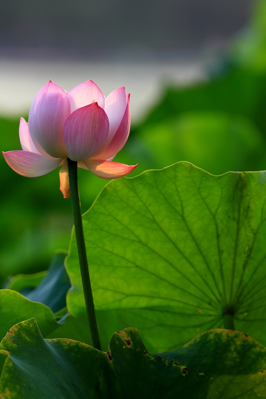 small_IMG_5893.JPG