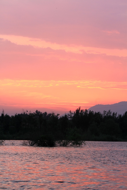 黄山旅游照片 1039.jpg