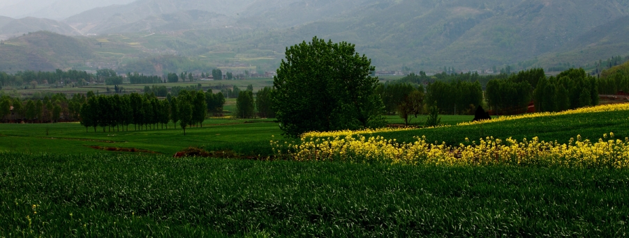 _MG_5237.jpg