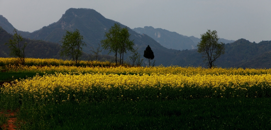 _MG_5252A.jpg