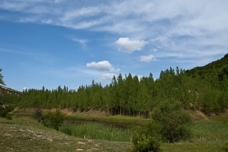 DSC_8287.JPG