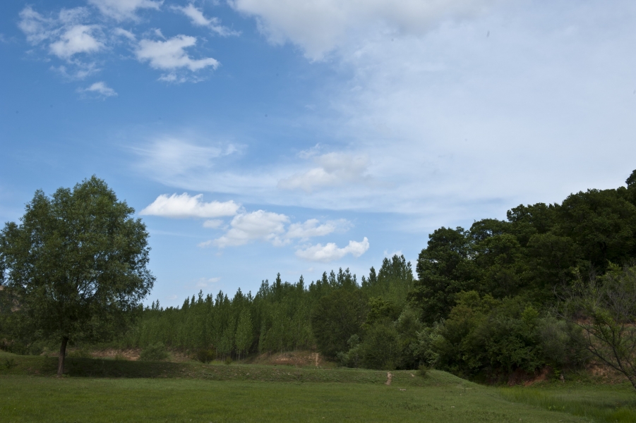 DSC_8297.JPG