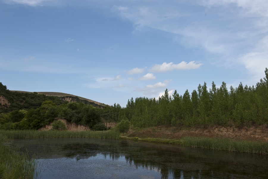 DSC_8315.JPG