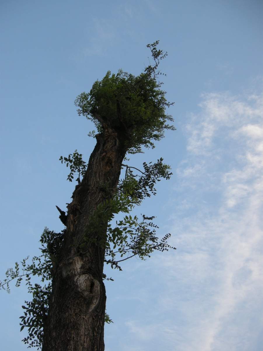 DSCN8152.JPG