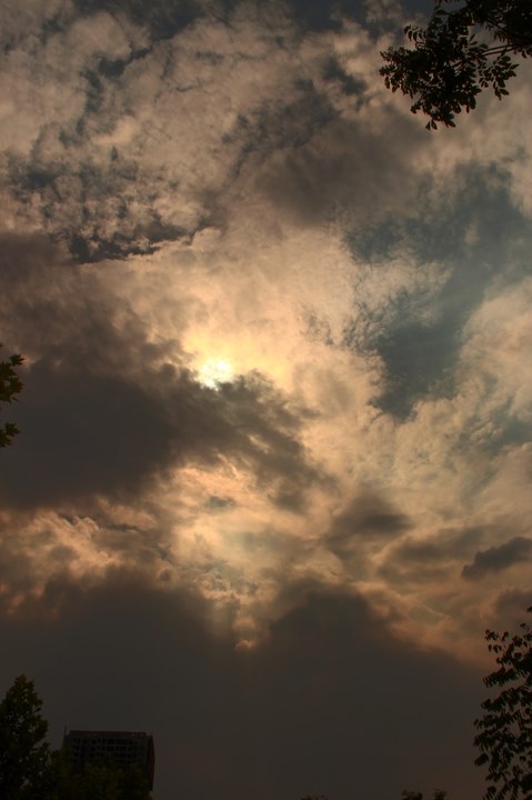 large_800j_4afd00002a8c125f.jpg