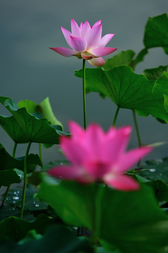 DSC_8573.jpg