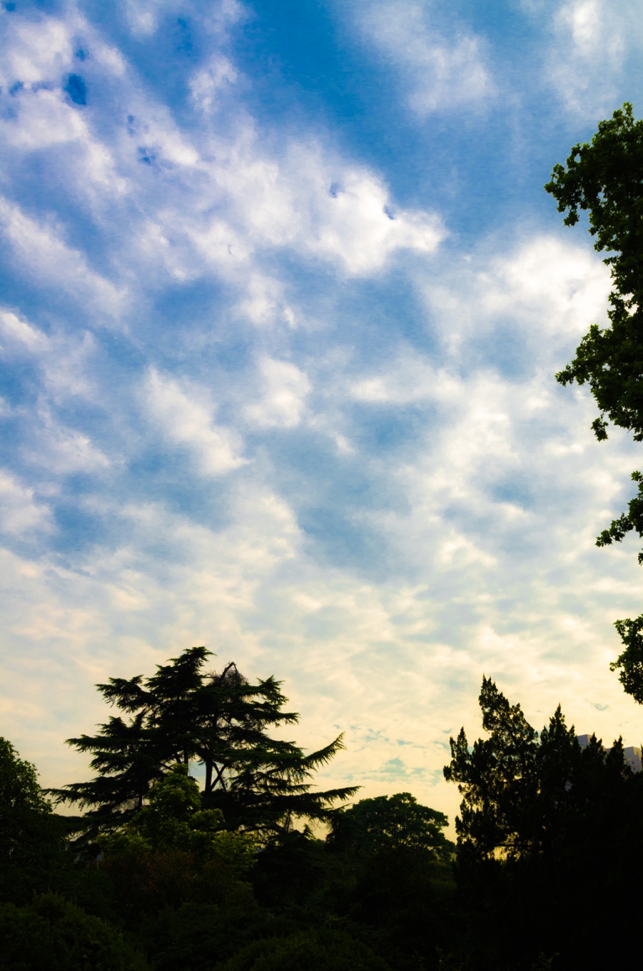 HDWP_20120701_001.jpg