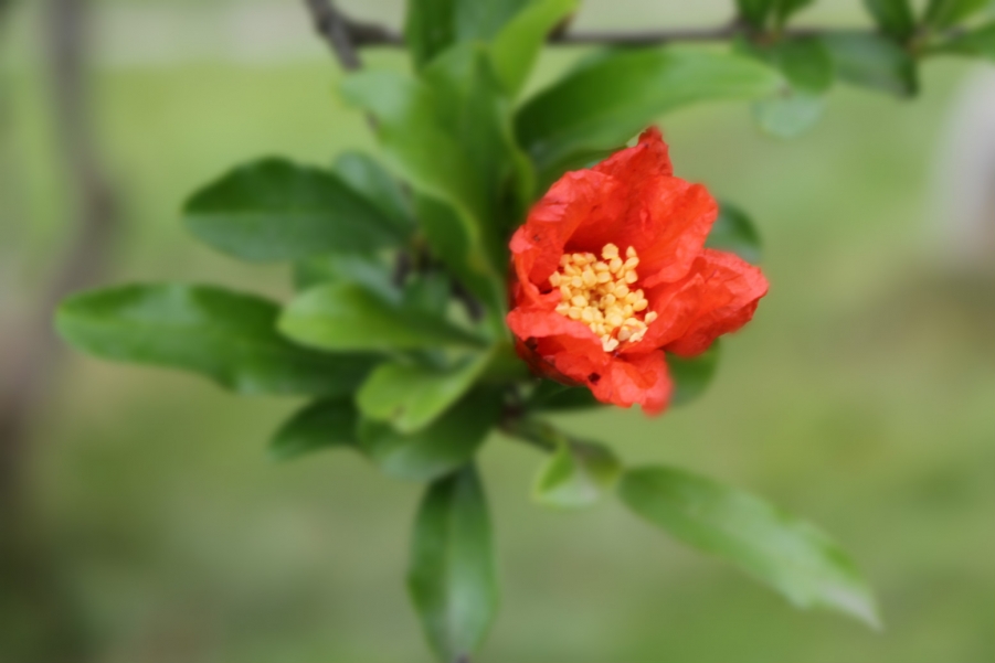 照片 019_meitu_26.jpg