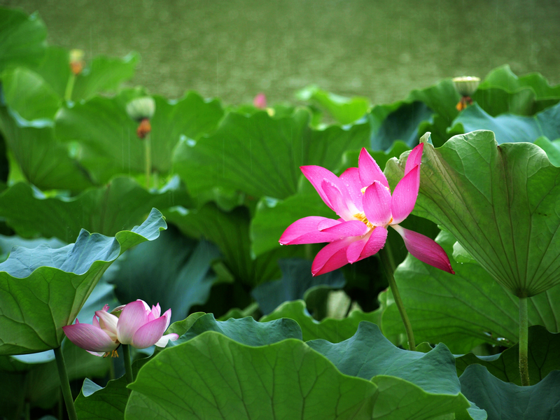 U7025798.jpg
