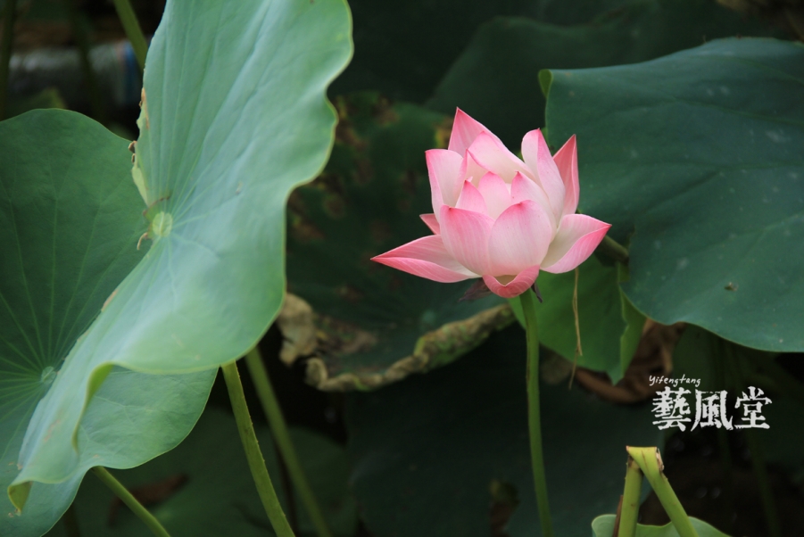 照片 039.jpg