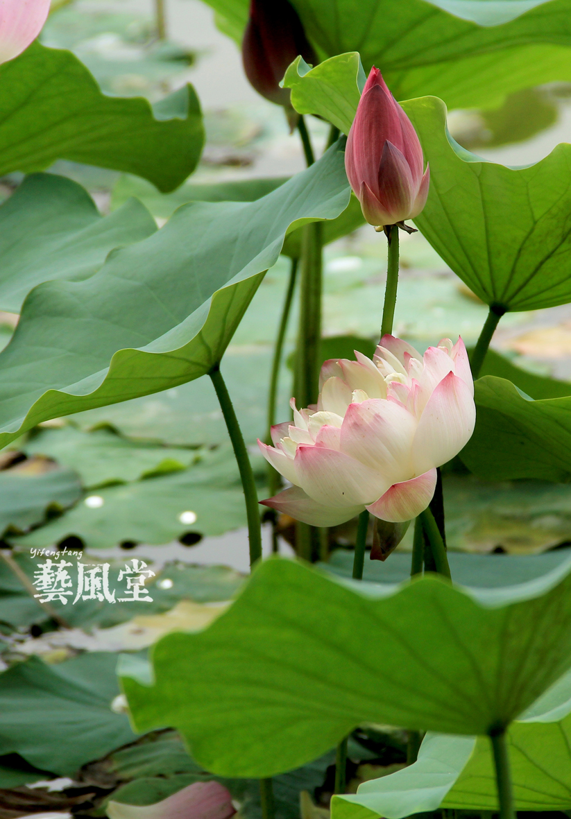 照片 100.jpg
