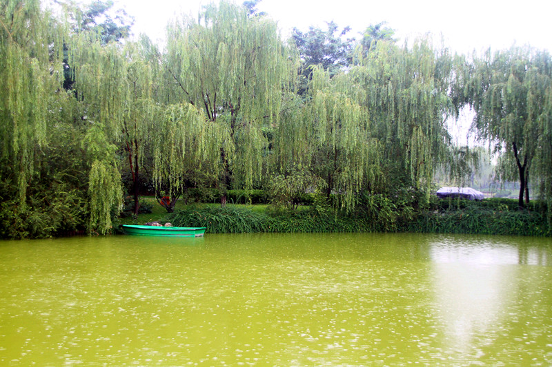 公园 029_副本.jpg