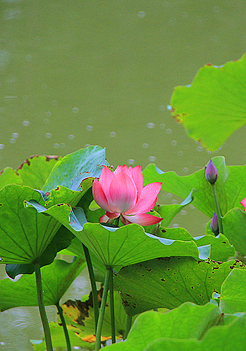 公园 042_副本.jpg