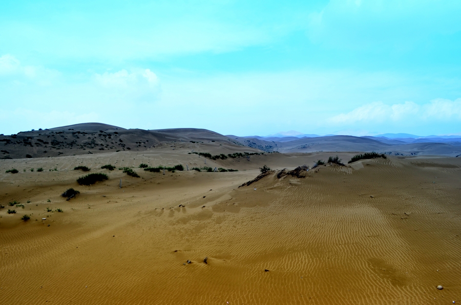 DSC_0129.JPG