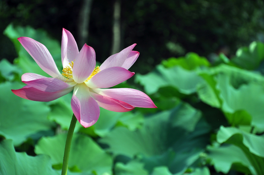 DSC_0283.JPG