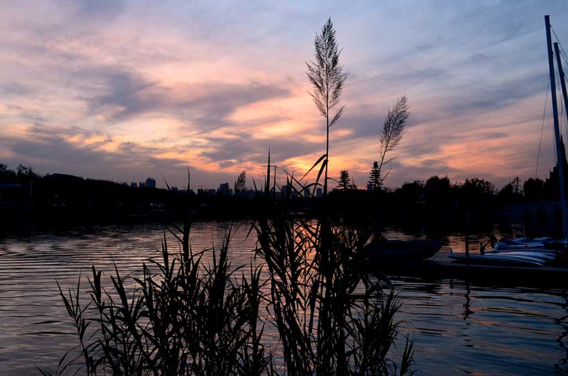 DSC_0158.jpg