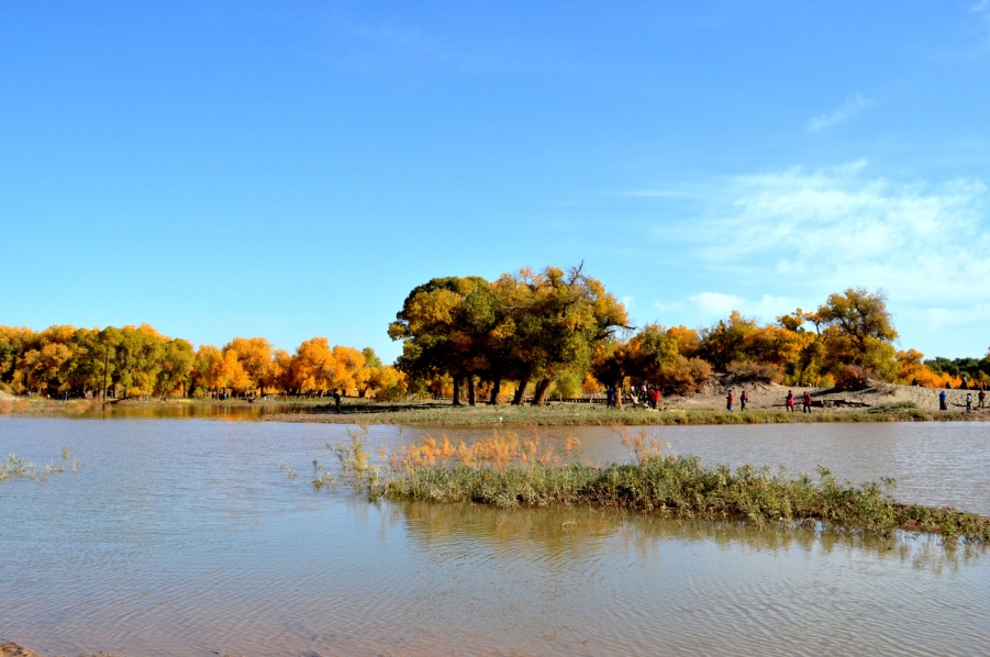 DSC_0174.jpg