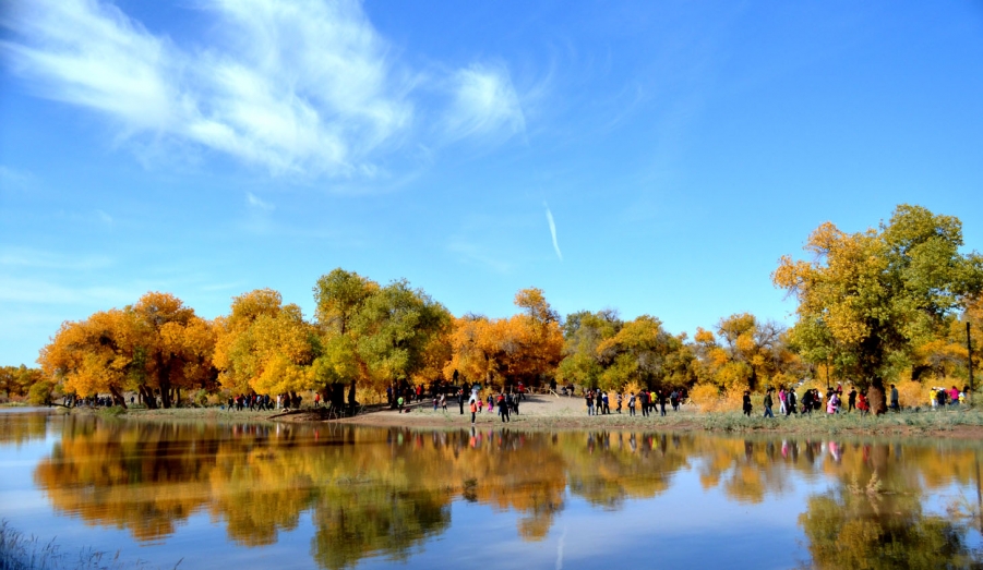 DSC_0242.jpg