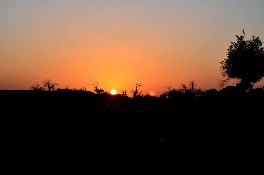 DSC_0705.jpg