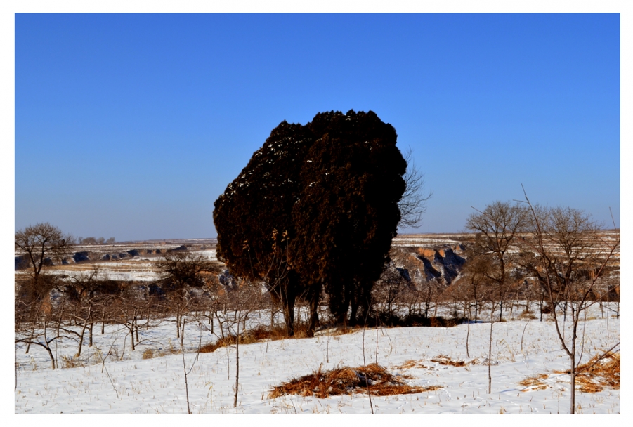 DSC_0193.jpg