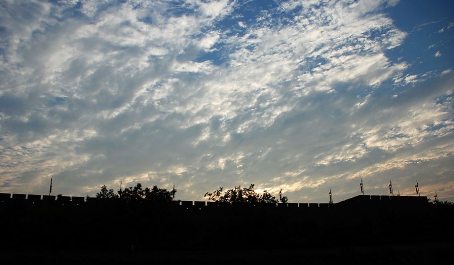 DSC_0701.JPG