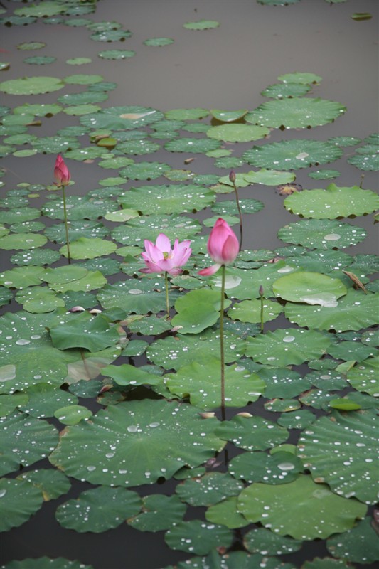 照片 017.jpg