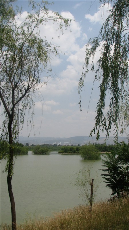 照片 054.jpg