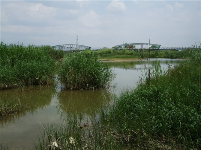 照片 061.jpg