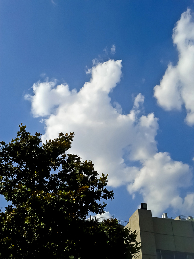 IMG_20120607_170837.jpg