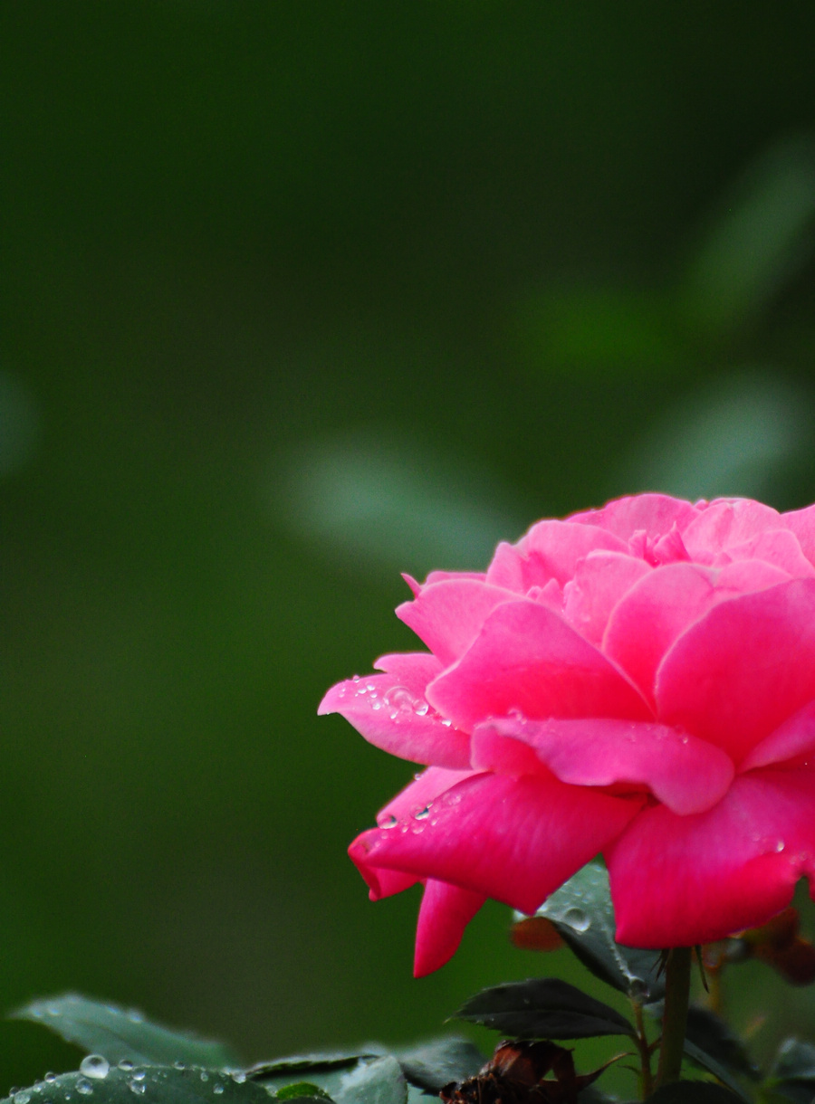 DSC_6666.JPG