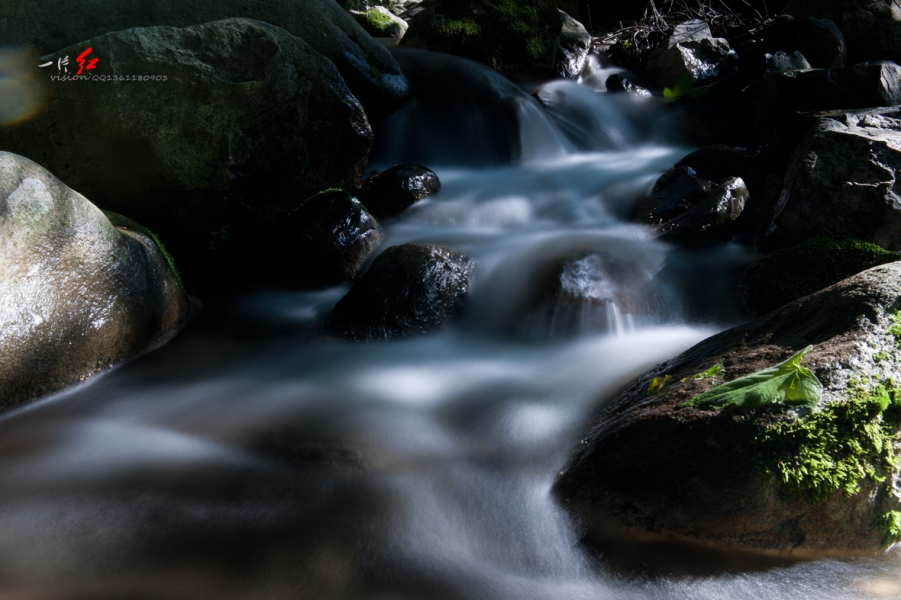 DSC_1827.jpg