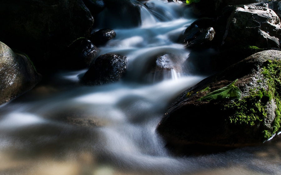 DSC_1828.jpg