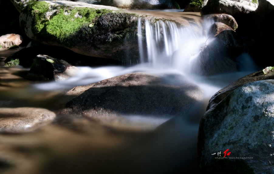 DSC_1831.jpg