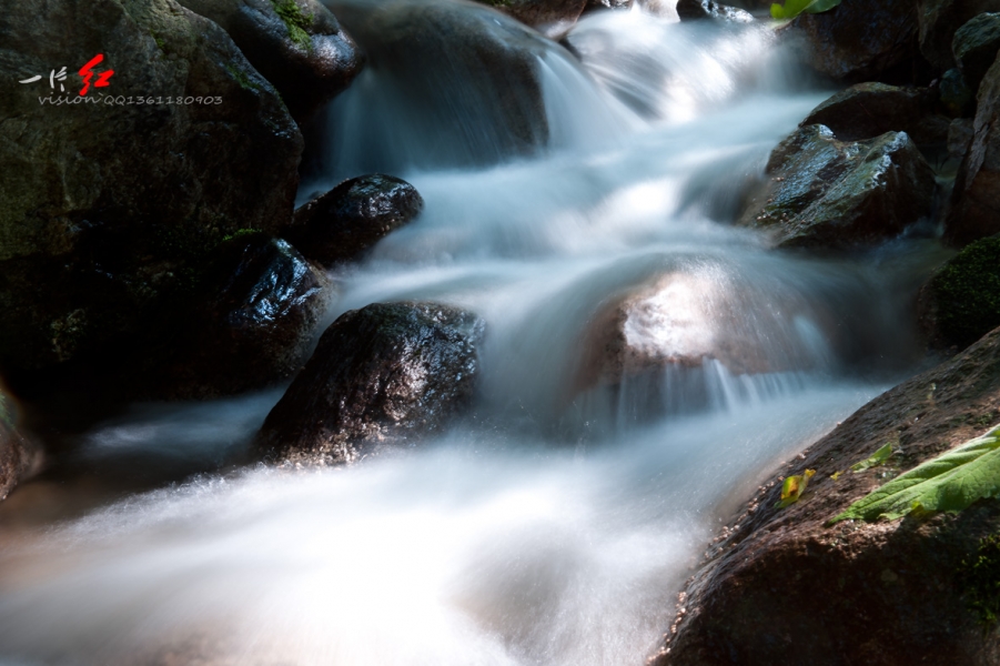 DSC_1818.jpg