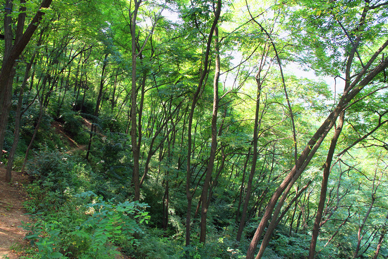 金 092_副本_副本.jpg