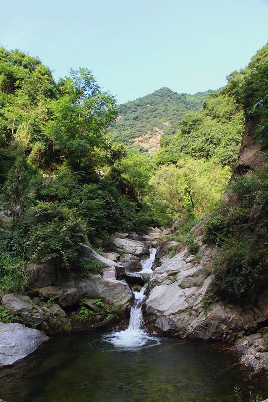 金 046_副本_副本.jpg