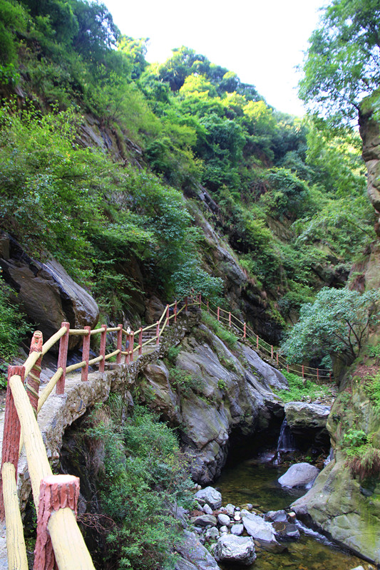 金 066_副本_副本.jpg