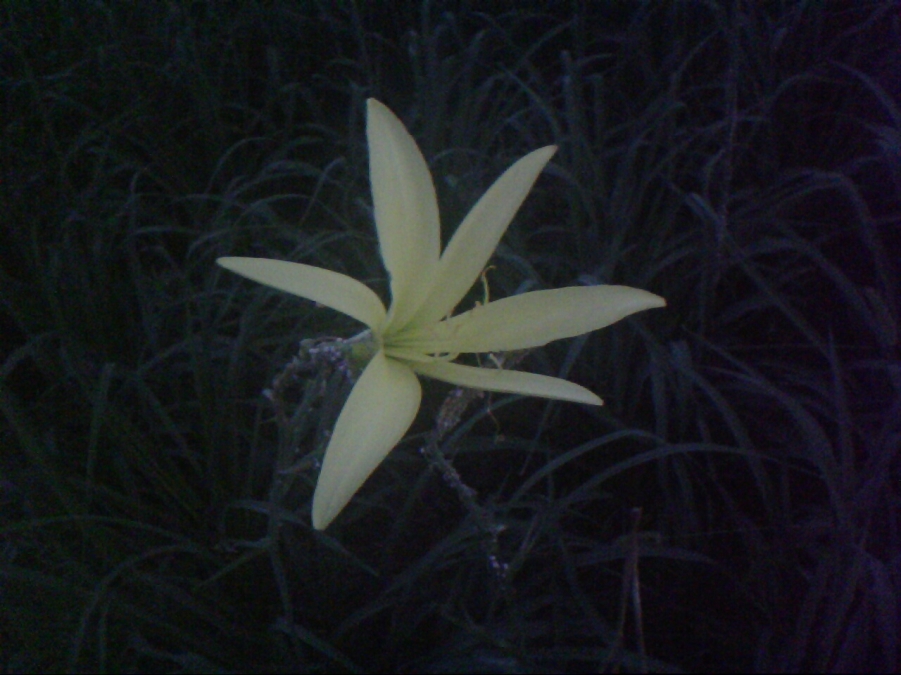 照片 036.jpg