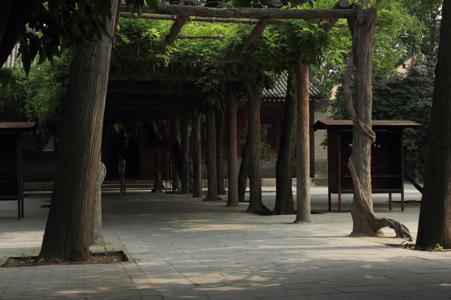 DPP_0008.JPG