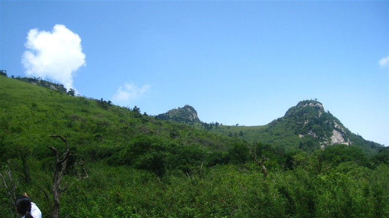 照片 035.jpg