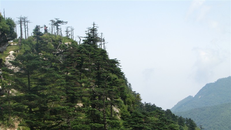 照片 050.jpg